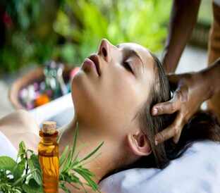 Head Neck Back Shoulder Leg Massage