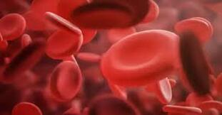 Raktapitta (Bleeding Disorders)